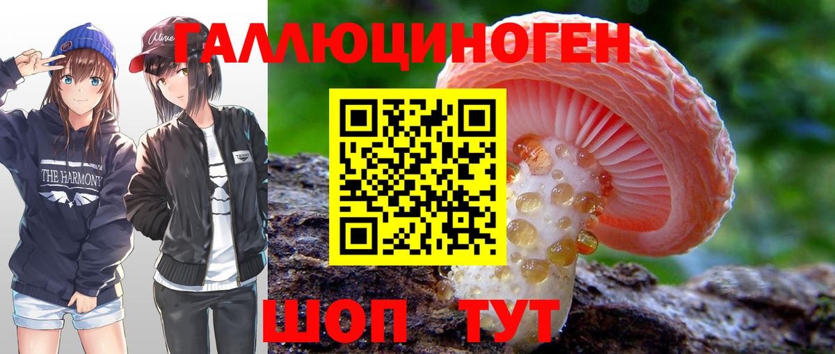 Галлюциногенные грибы мухоморы Новоалтайск
